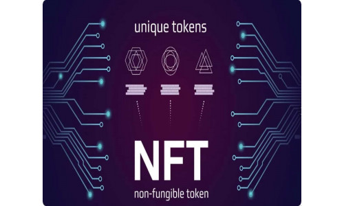 NFT for Beginners - Crypto News